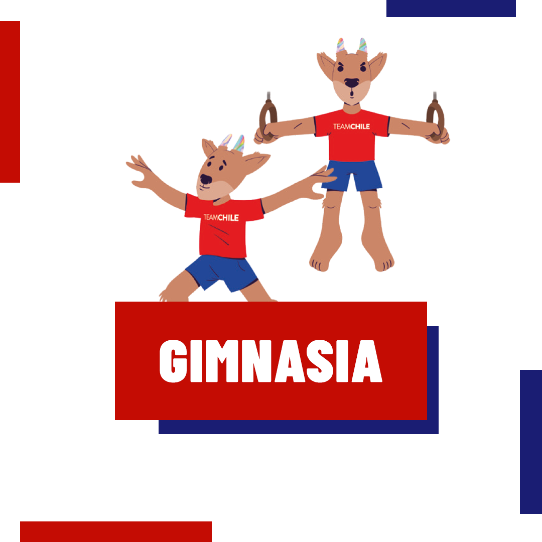 GIMNASIA2