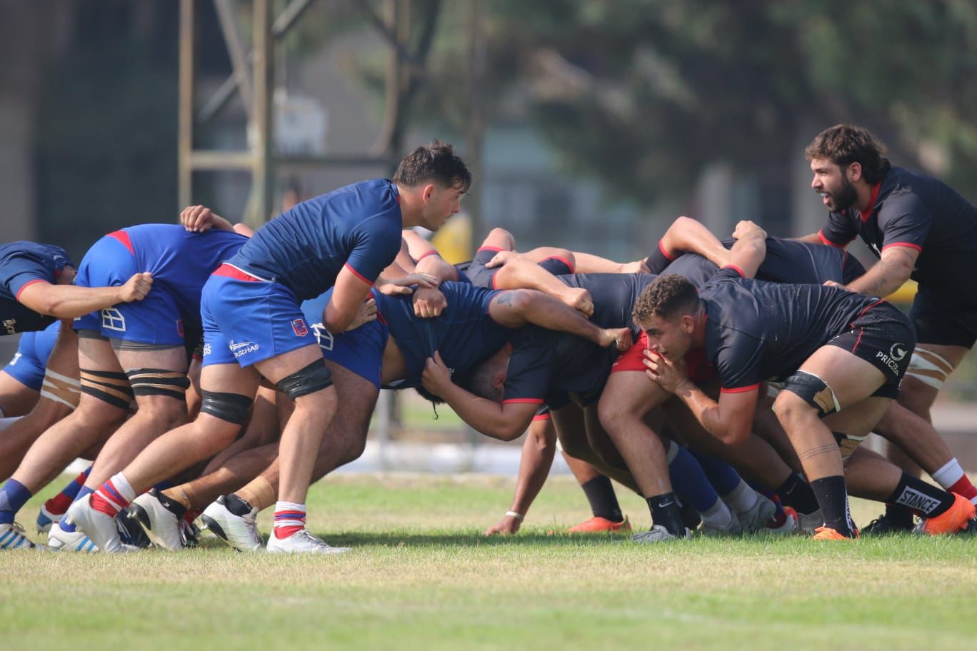 Selknam marca el paso en un año histórico para el Team Chile de Rugby